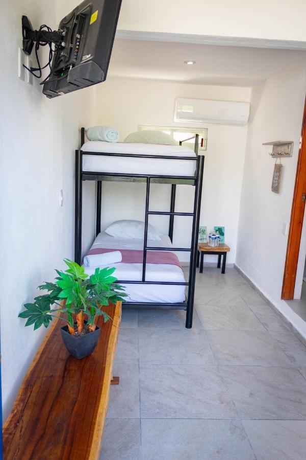 Hotel Seyba Bakalar Bacalar Extérieur photo
